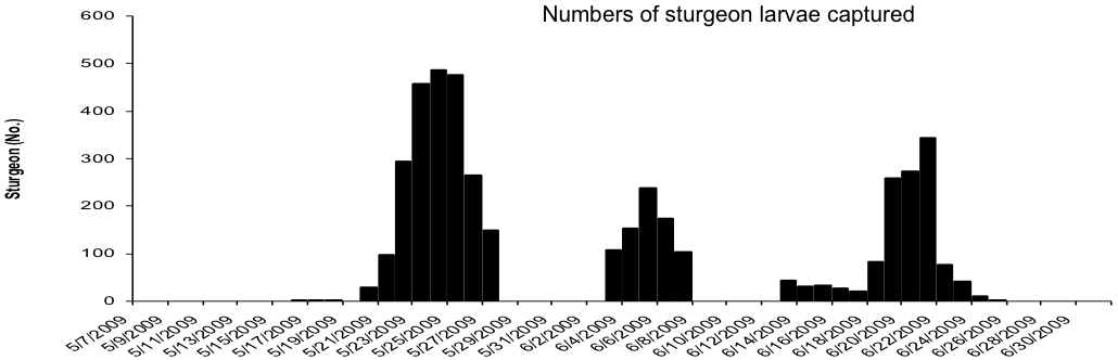 Larval Capture Chart