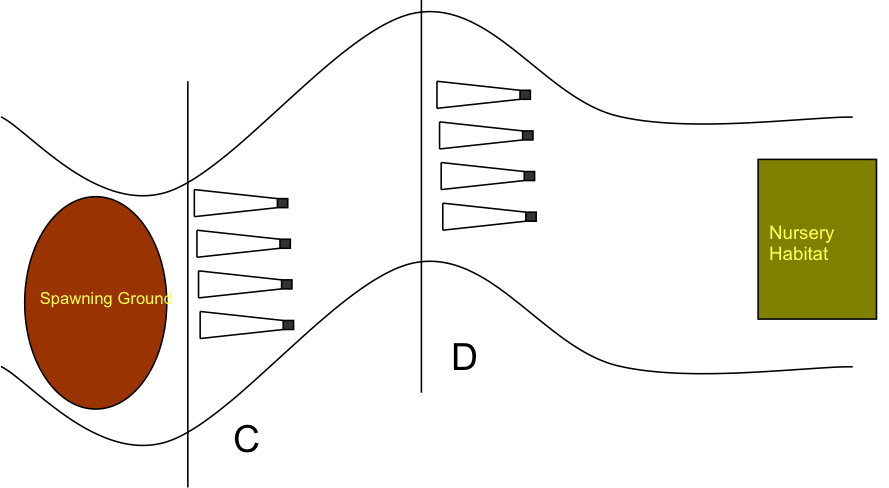 Dispersal Experimental Design