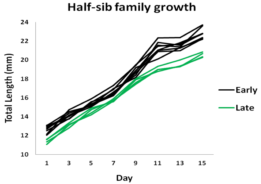Length Graph
