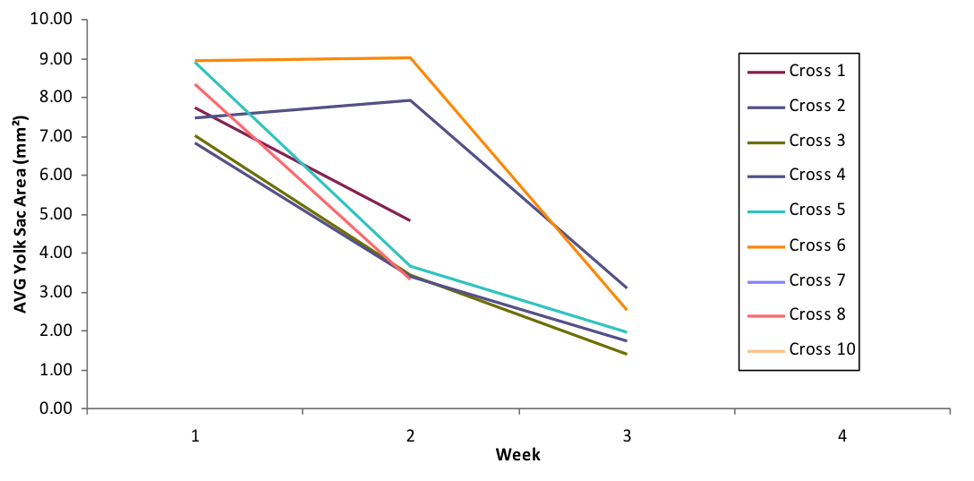 Yolk Sac Graph