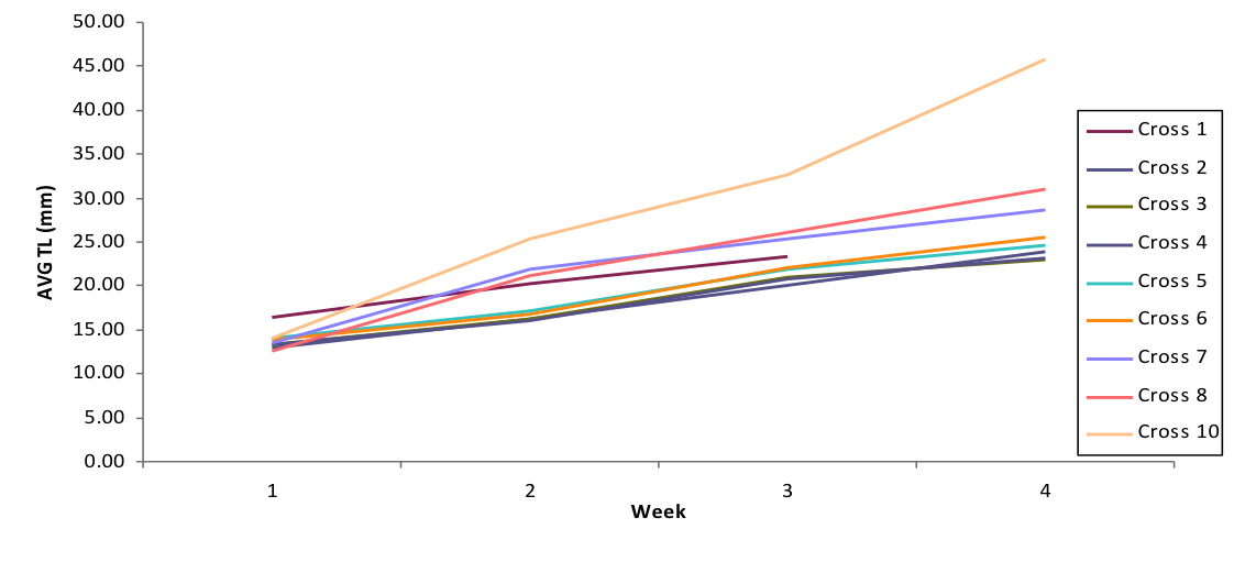 Length Graph