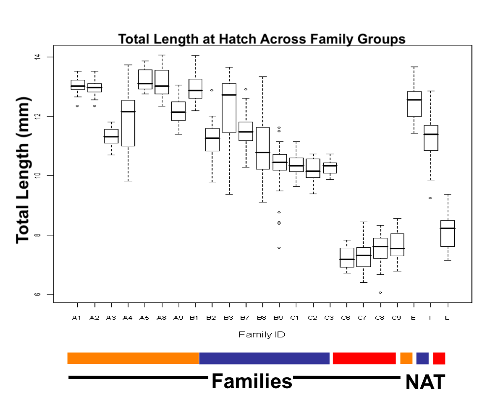 Hatch Length Chart