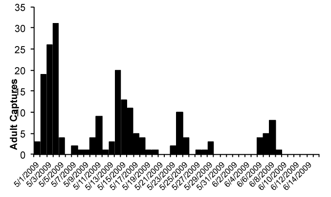 Adult Capture Chart