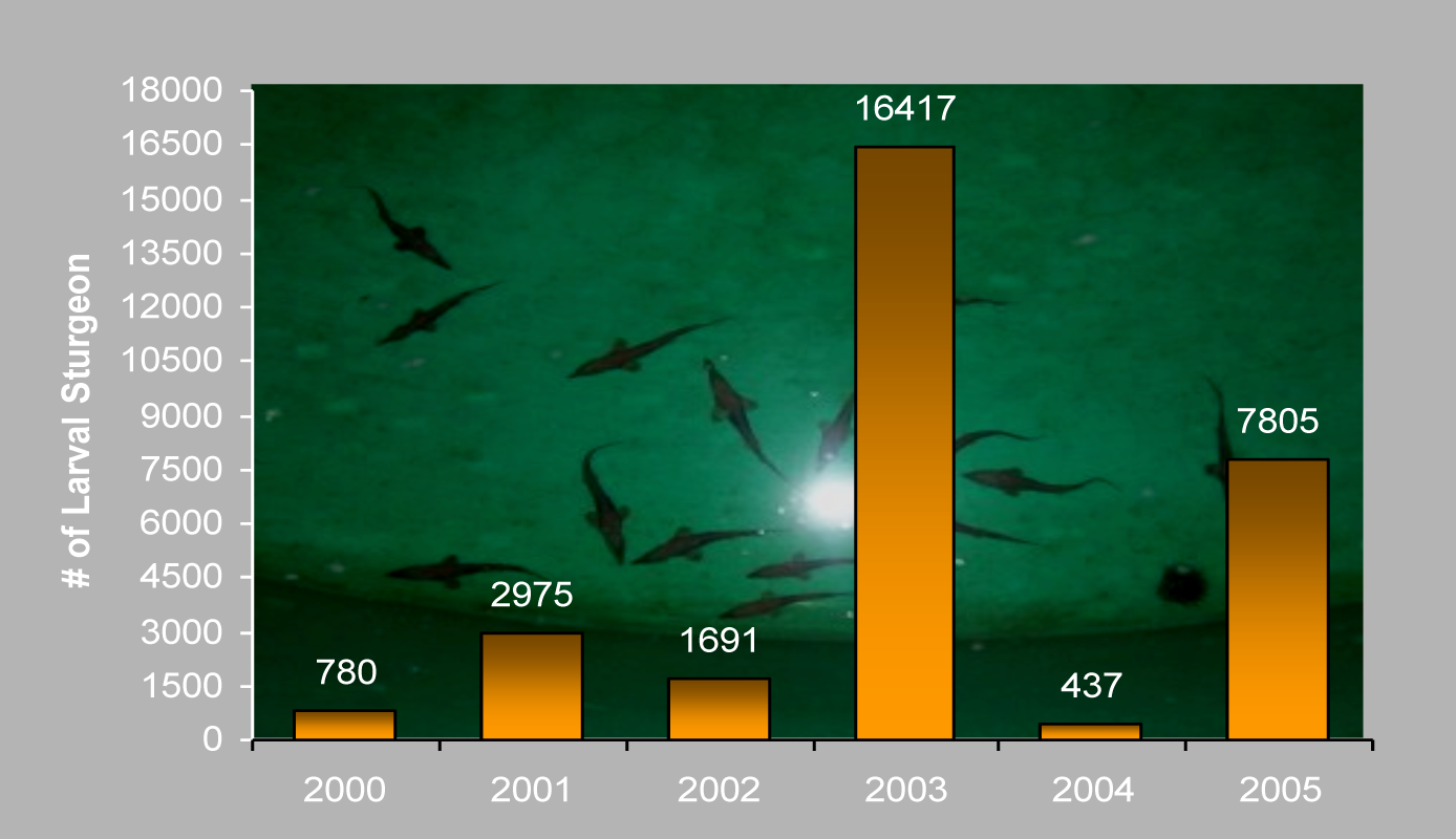 Annual Number of Larvae Chart