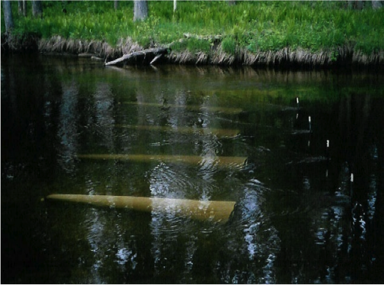 Black River