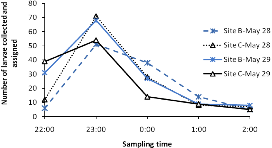 Larval Hourly Dispersal Graph