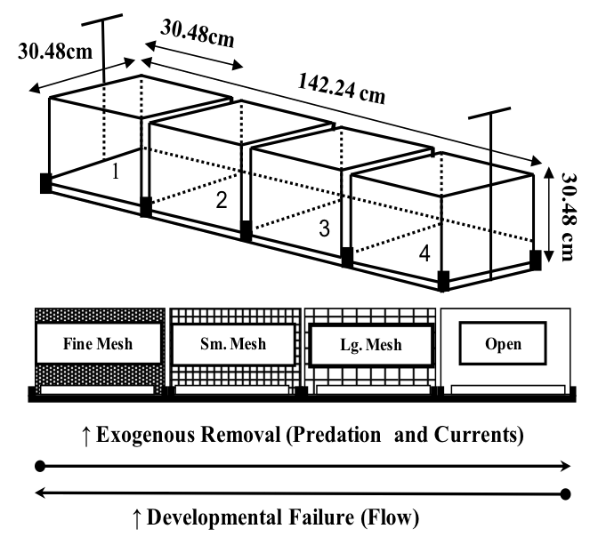 Mortality Experiment Diagram