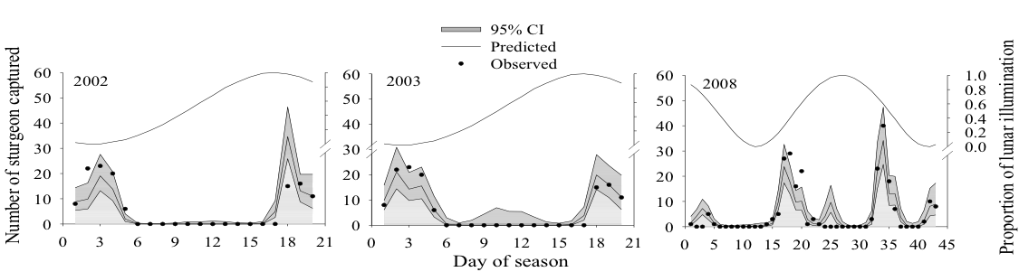 Spawning Prediction Graphs