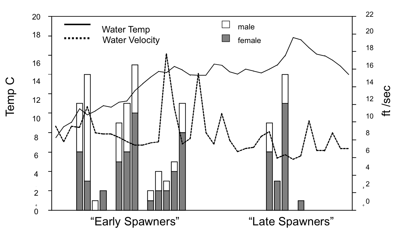 Spawning Time Graph
