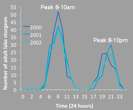 Upstream Movement Graph