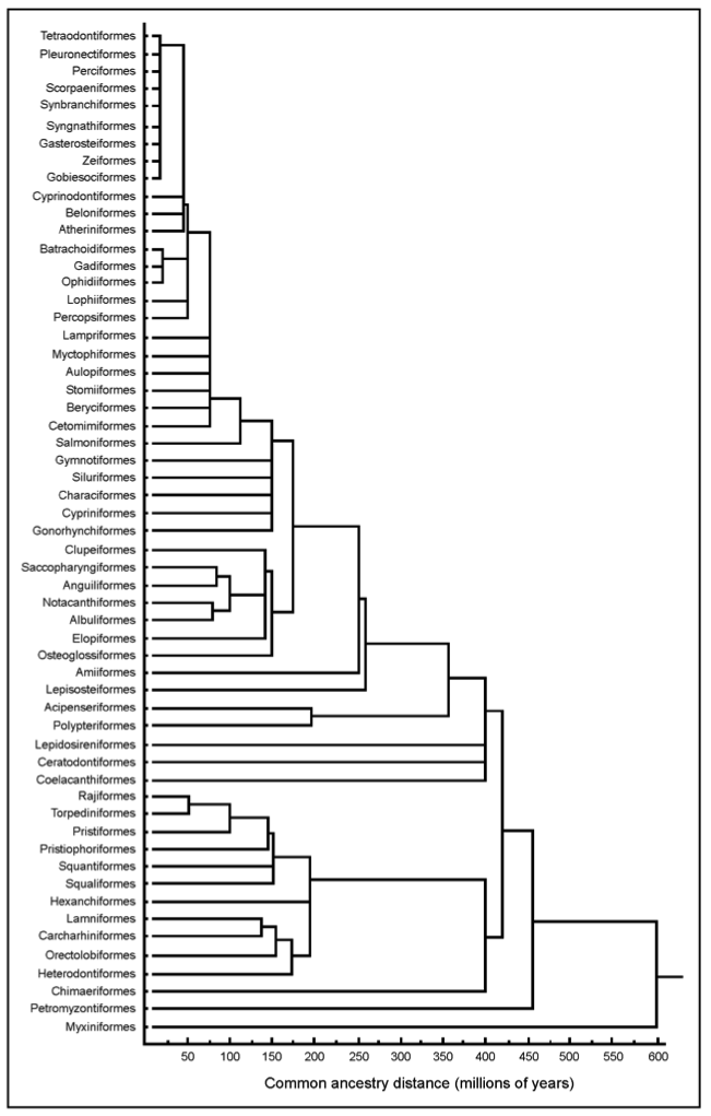 Cluster Analysis Chart