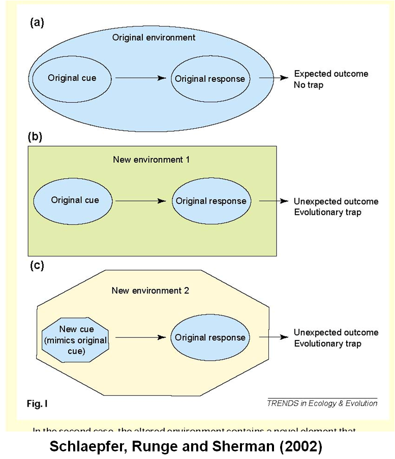 Evolutionary Trap Diagram