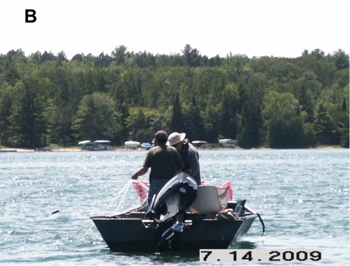 Juvenile Monitoring