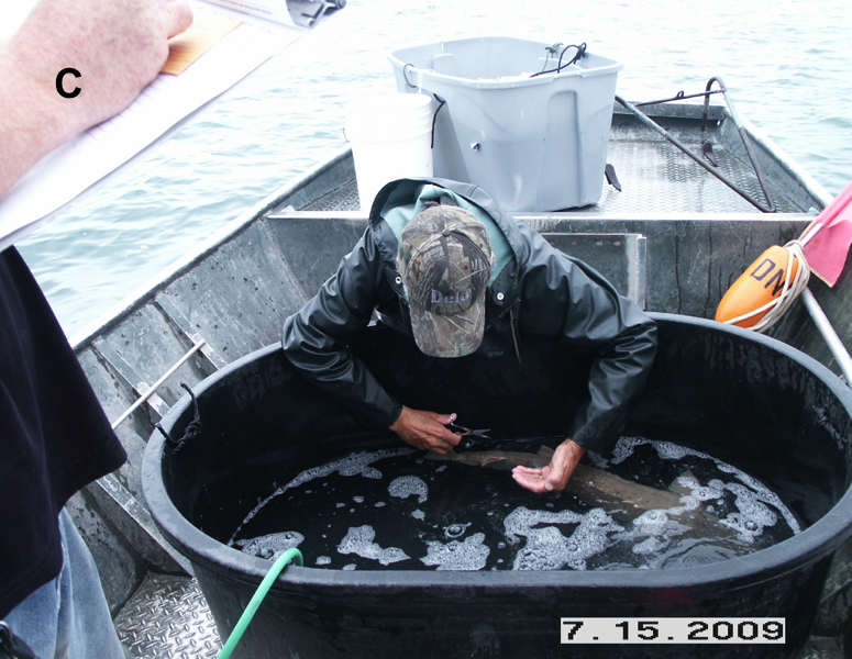 Juvenile Monitoring