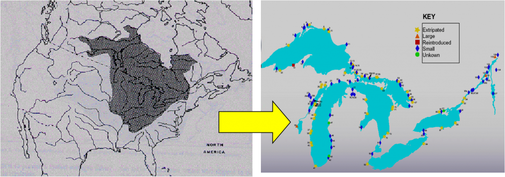 Population Decline Map