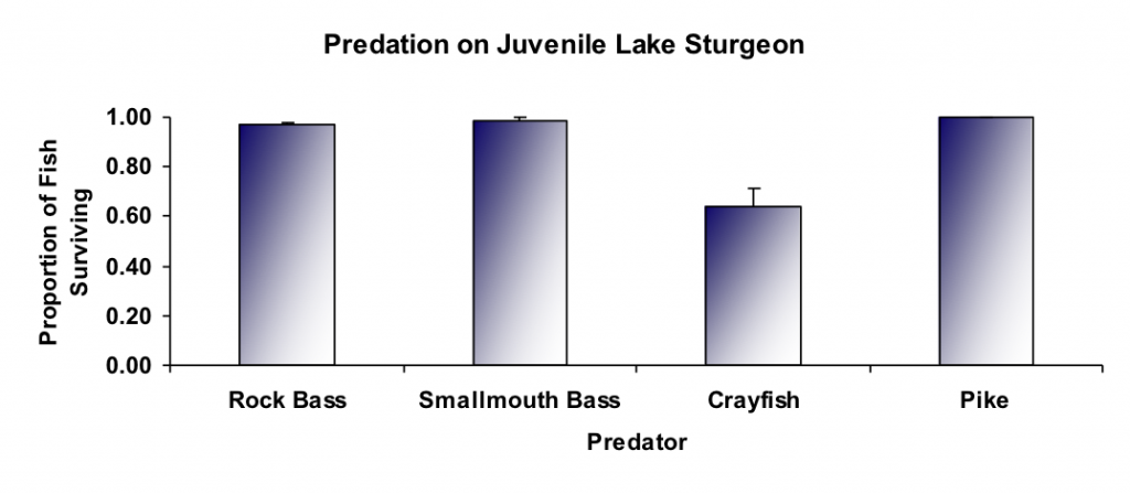 Predation Rate Chart