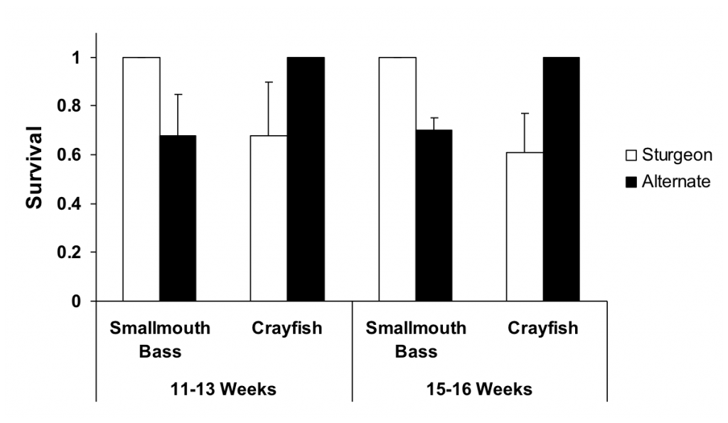 Survival Chart
