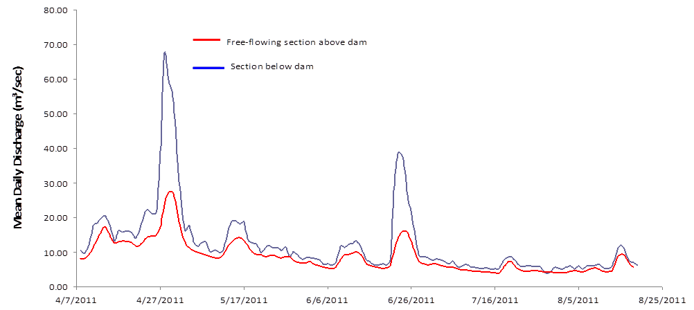 Daily Flow Graph