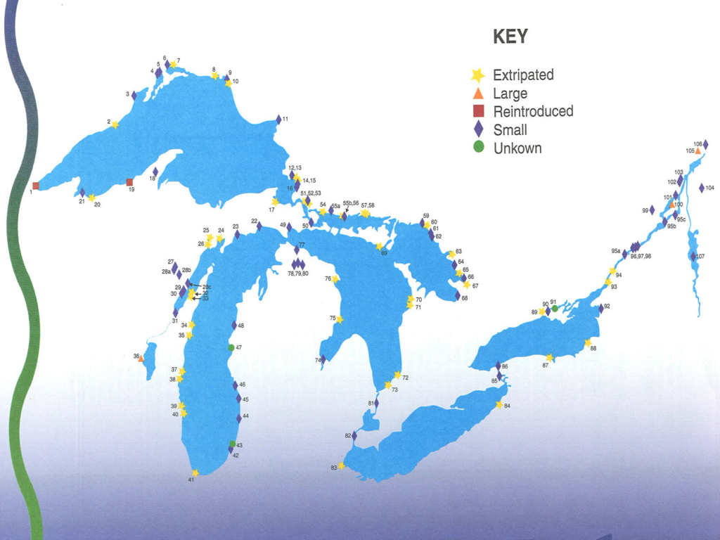 Distribution Map
