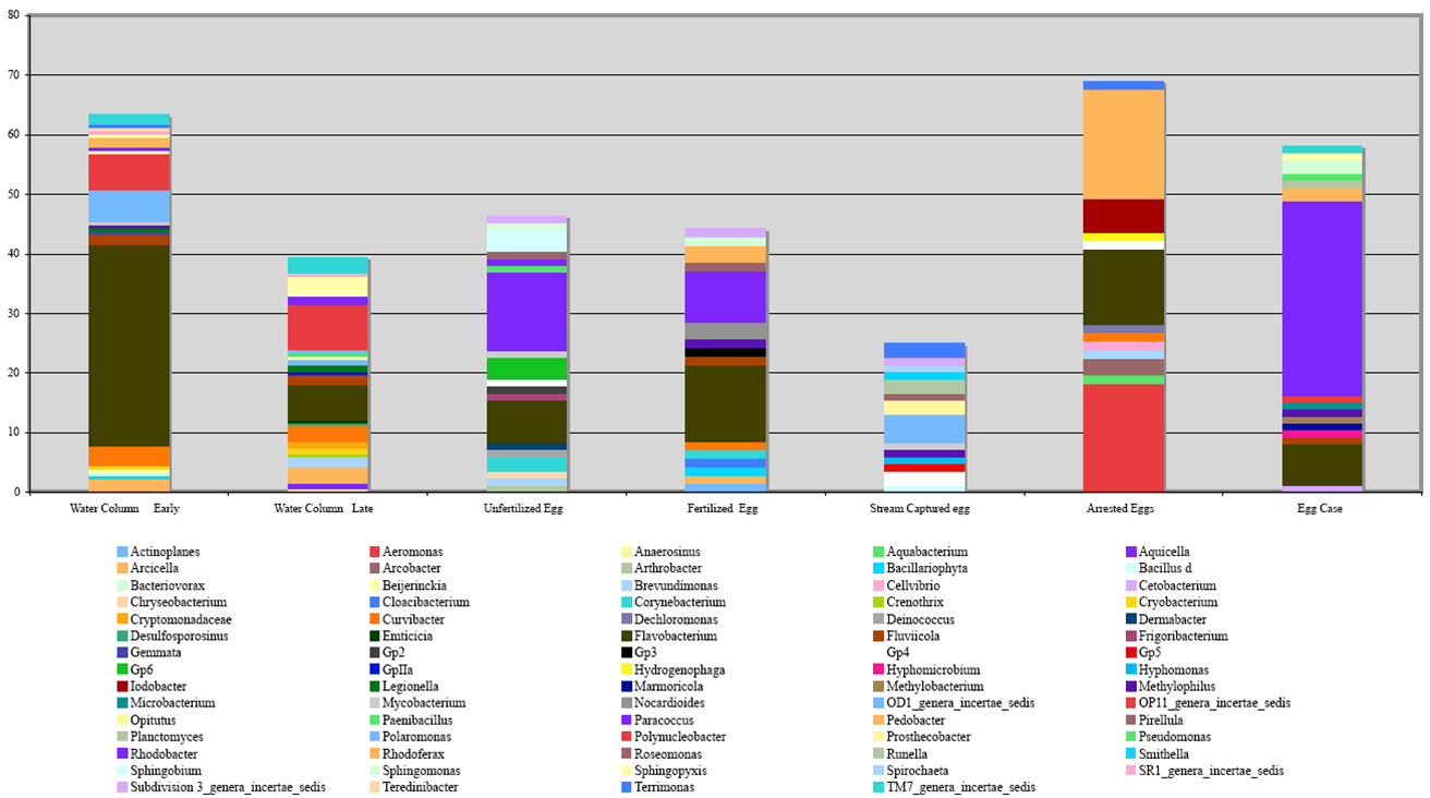 Egg Microbe Species Chart