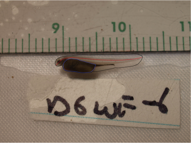 Hatch Yolk Sac