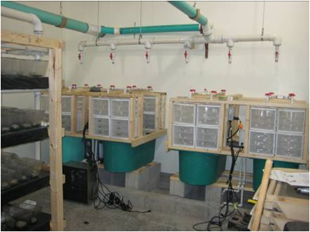 Microbe Experimental Design