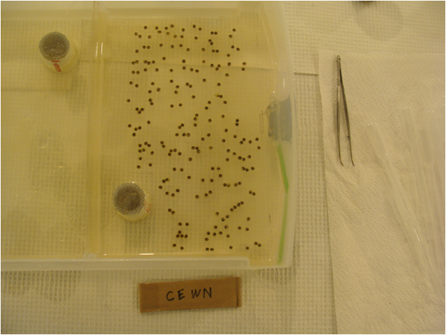 Microbe Experimental Design