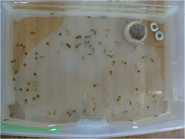 Microbe Experimental Design