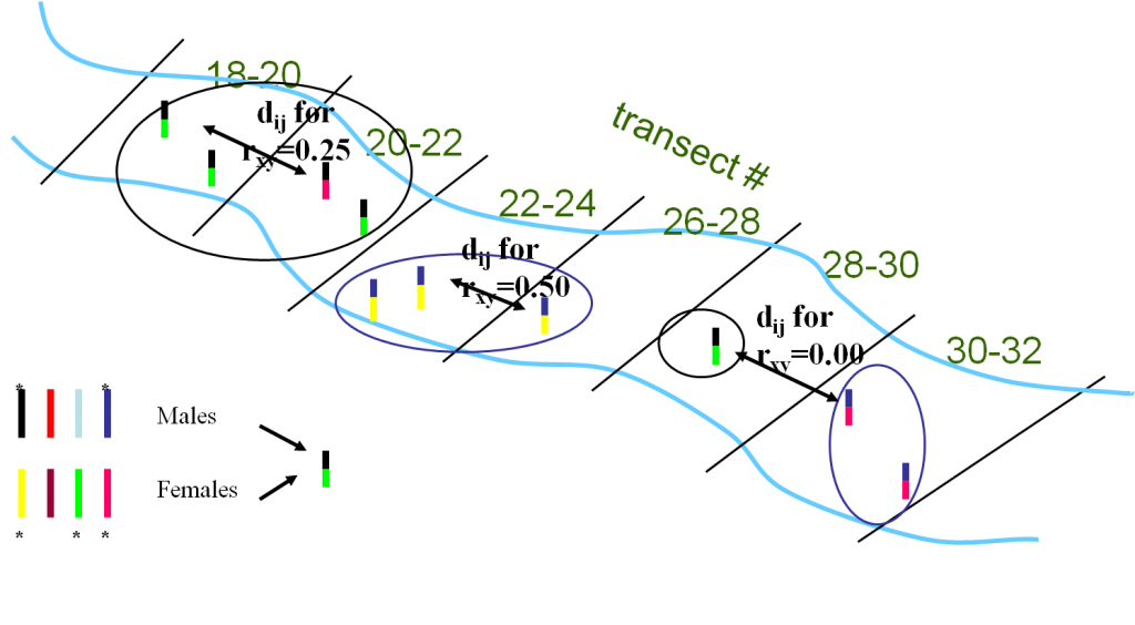 Parent Map Diagram