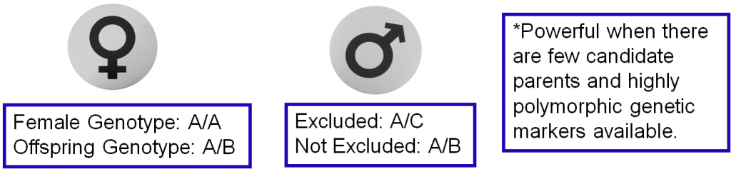 Parental Exclusion Diagram