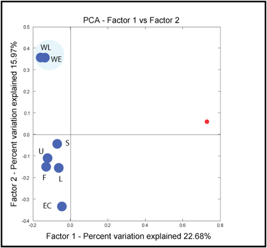 PCA Graph