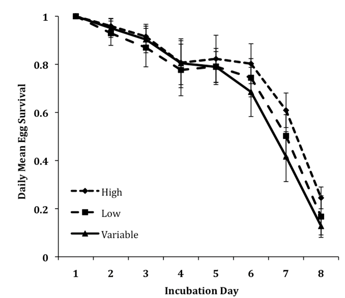 Egg Survival Graph