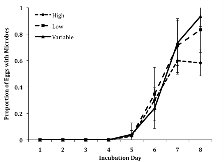 Egg Survival Graph