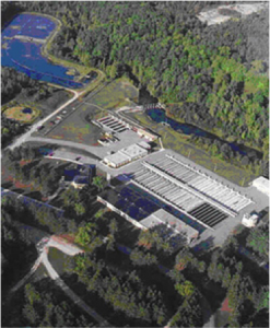 Traditional Hatchery