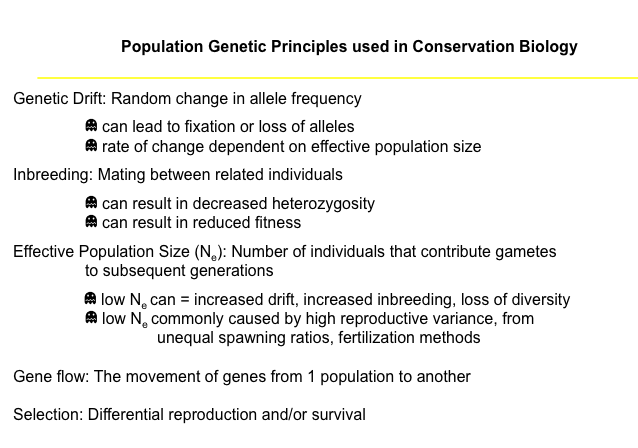 Population Genetics