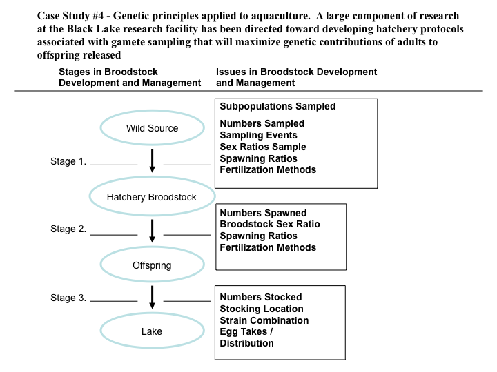 Case Study 4