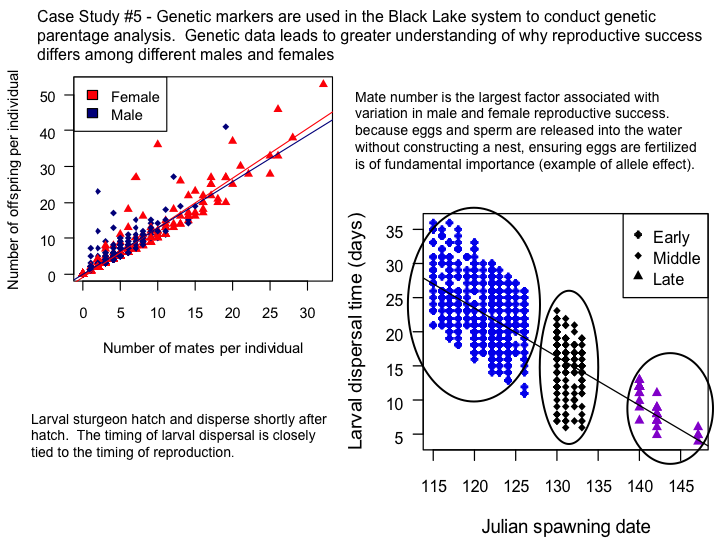 Case Study 5