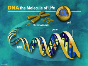 DNA
