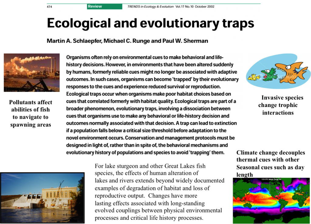 Evolutionary Traps