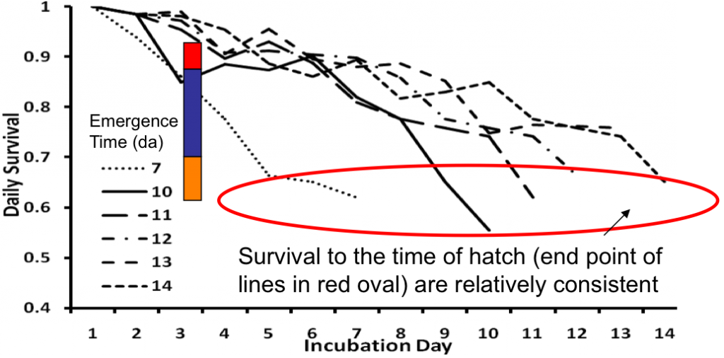 Egg Mortality Graph