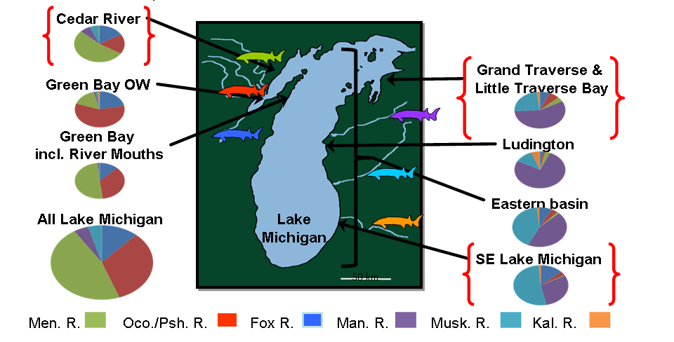 Genetic Analysis Map