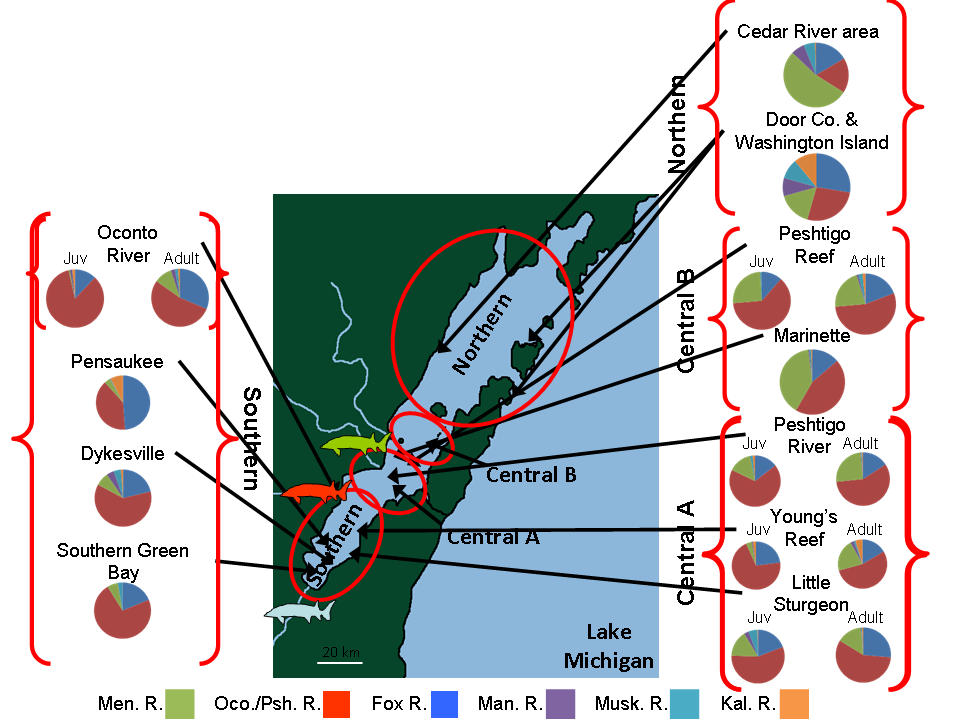 Genetic Analysis Map