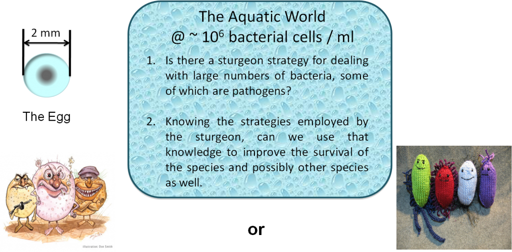 Microbiology