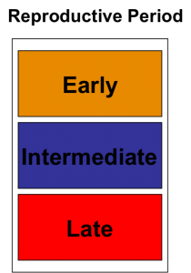 Reproductive Period Chart