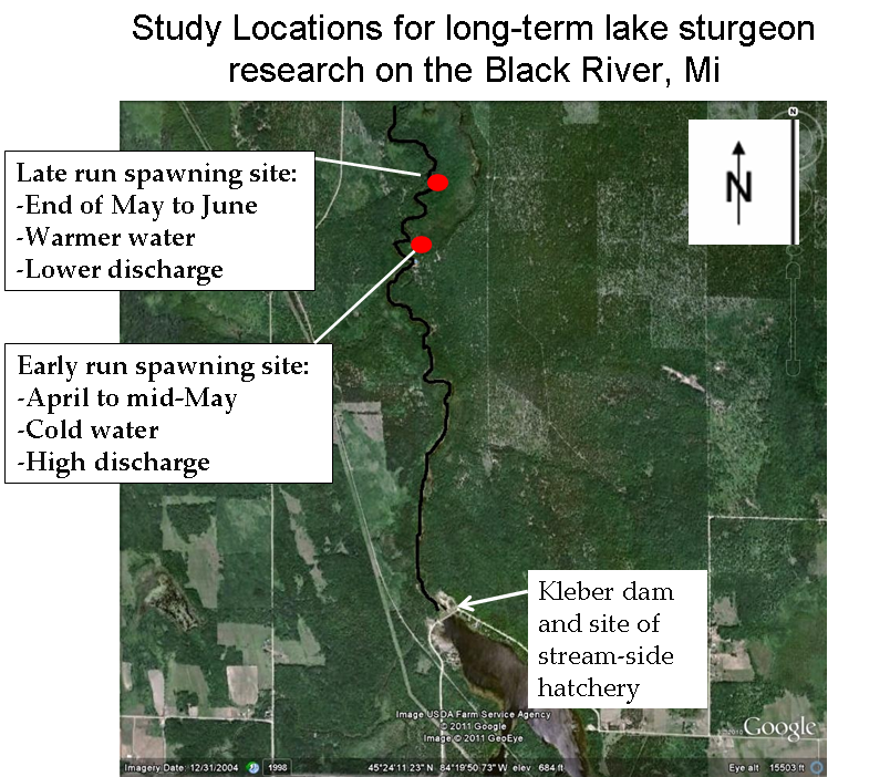 Study Locations