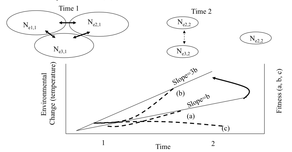 Sustainable Evolution Diagram